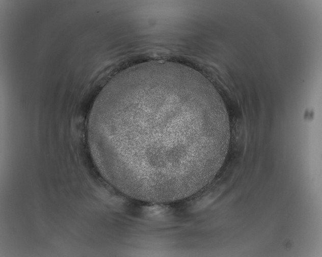X0000092220511200709281046
