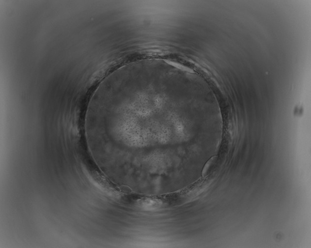 X0000092220512200709281046