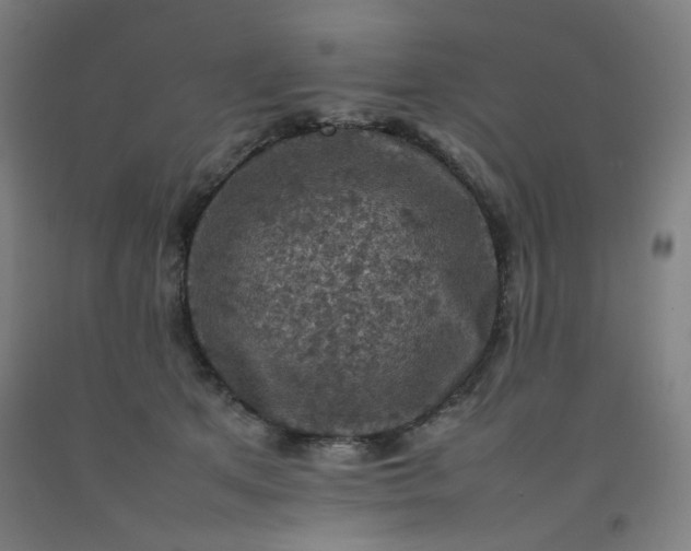 X0000092220513200709281046