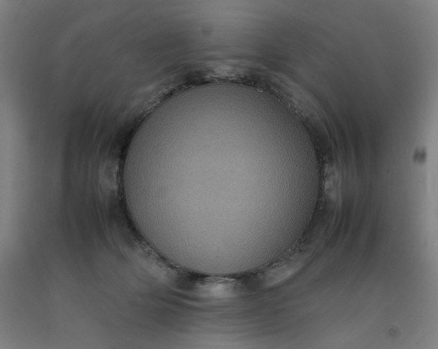 X0000092220514200709281046