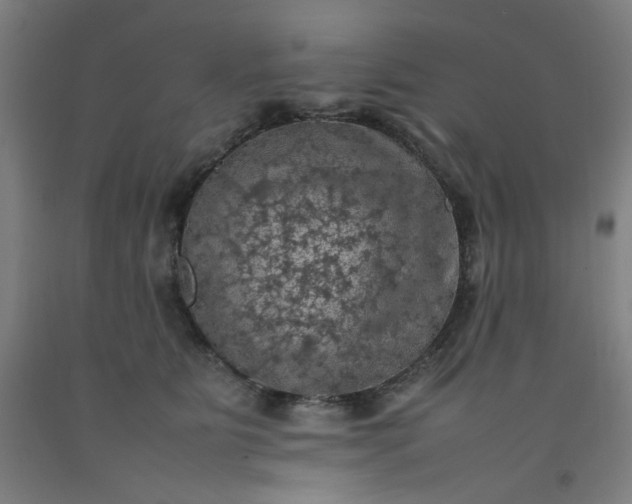 X0000092220515200709281046