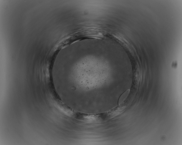 X0000092220516200709281046
