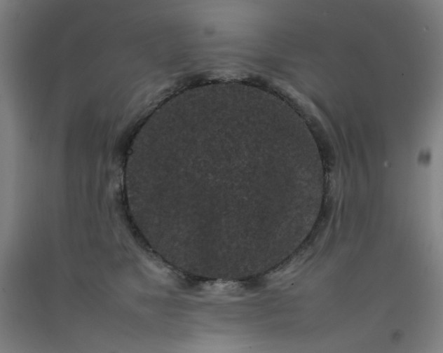 X0000092220517200709281046