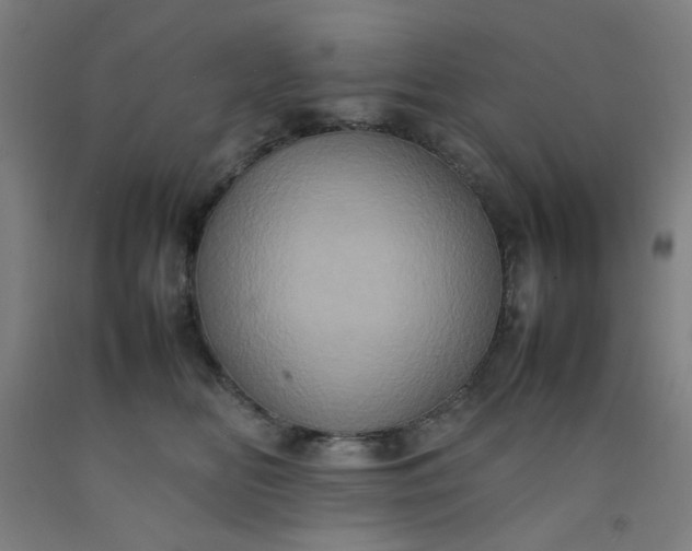 X0000092220518200709281046