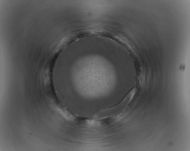 X0000092220520200709281046