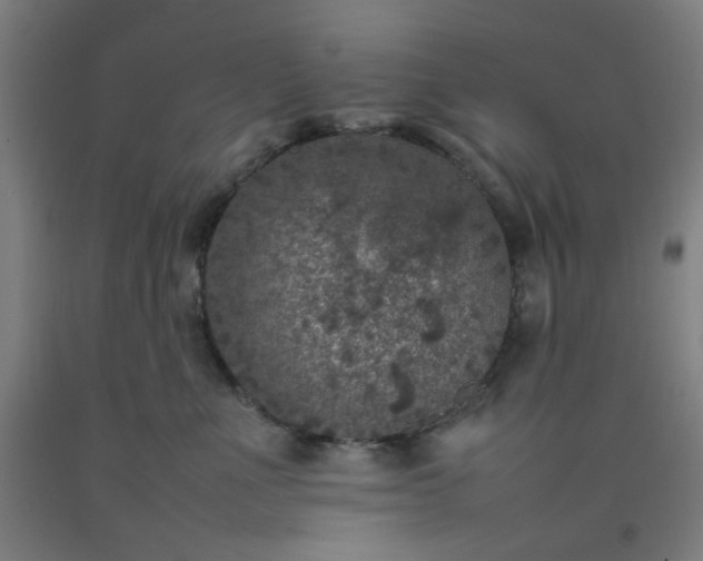 X0000092220523200709281046