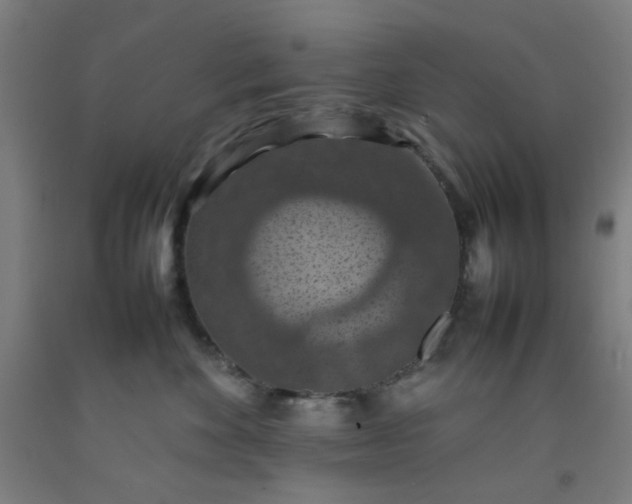 X0000092220524200709281046