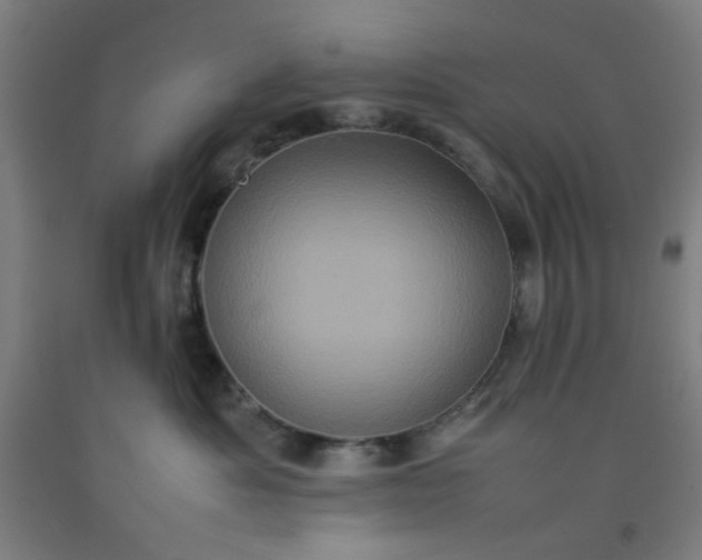 X0000092220525200709281046