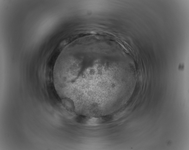 X0000092220527200709281046