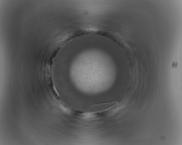 X0000092220528200709281046