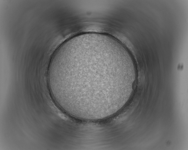 X0000092220529200709281045
