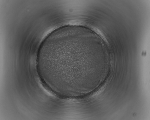 X0000092220530200709281045