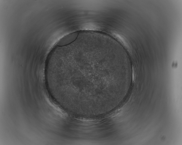 X0000092220531200709281045