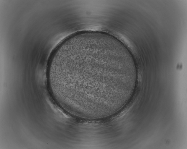 X0000092220532200709281045