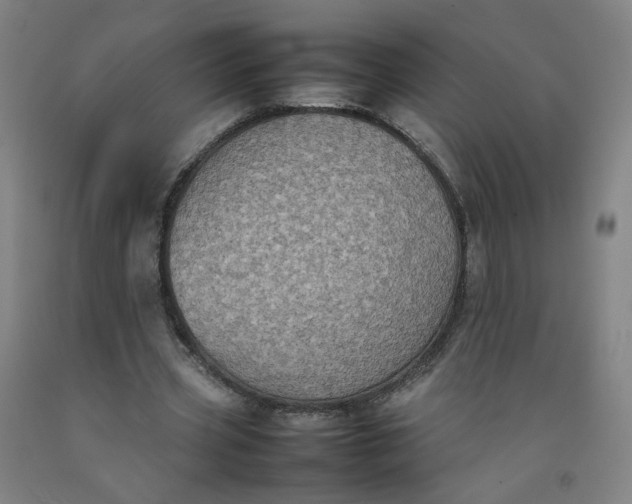 X0000092220533200709281045
