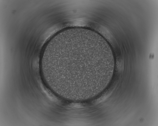 X0000092220534200709281045