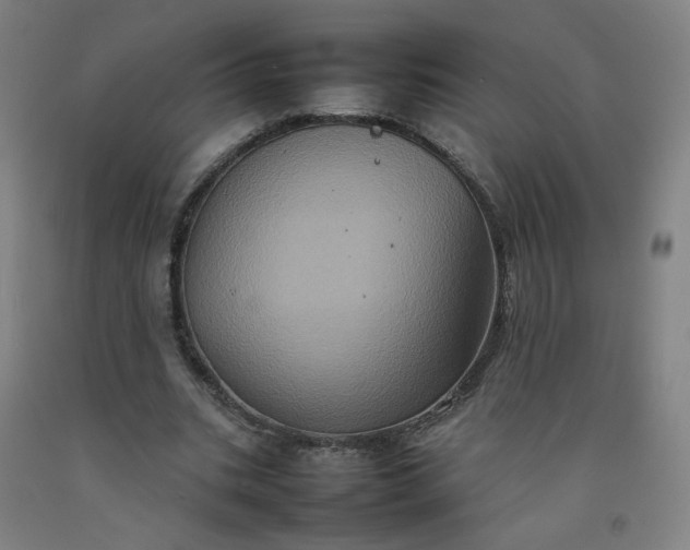 X0000092220535200709281045