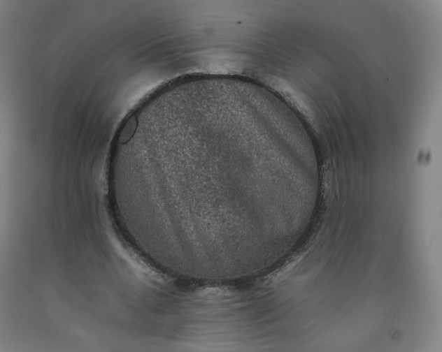 X0000092220536200709281045