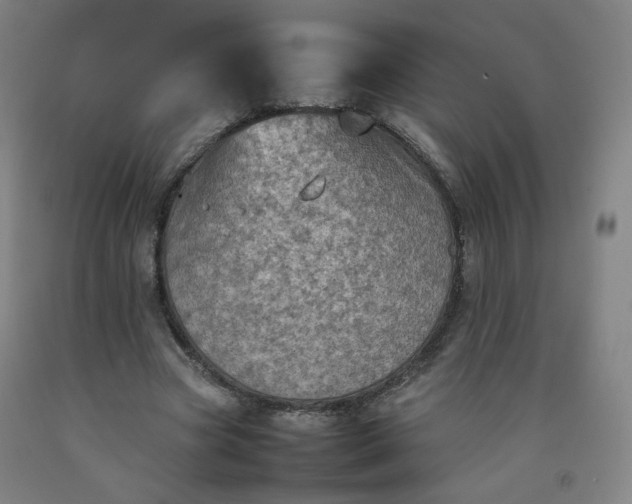 X0000092220537200709281045