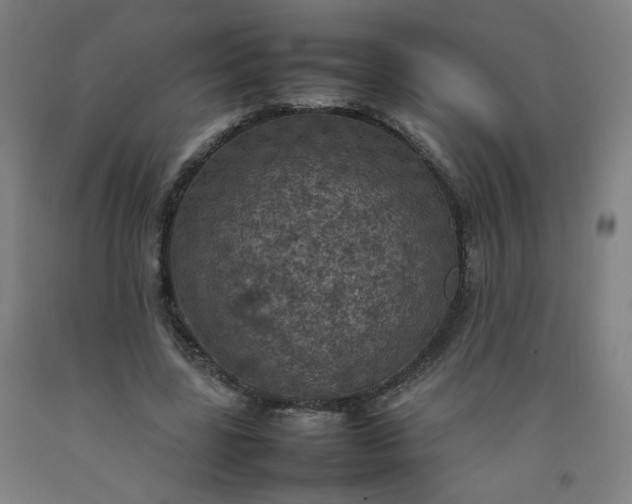 X0000092220539200709281045