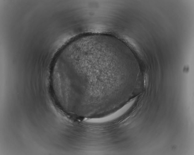X0000092220540200709281045