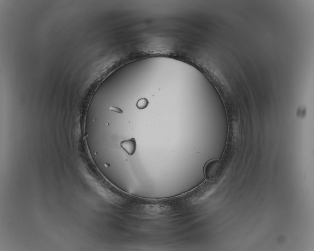 X0000092220541200709281045