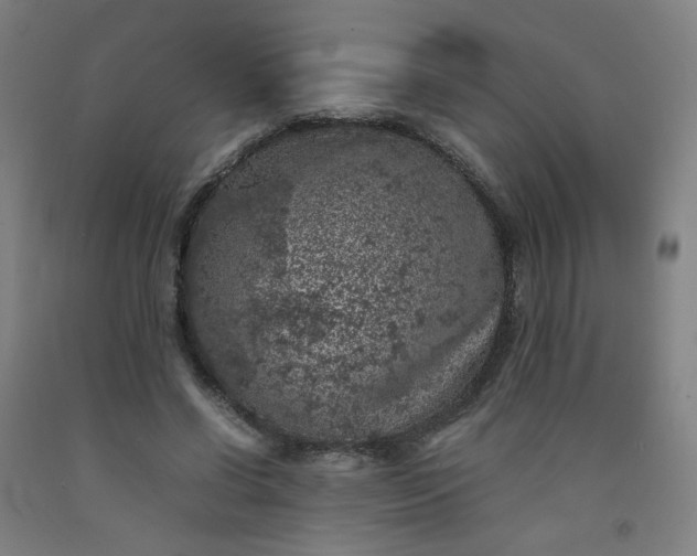 X0000092220542200709281045