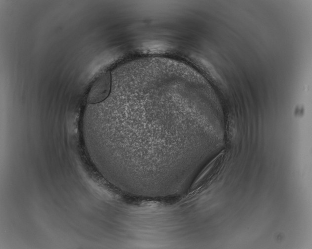 X0000092220543200709281045