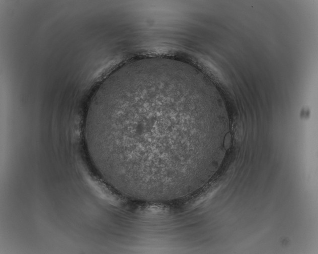 X0000092220546200709281045