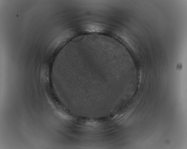 X0000092220547200709281045