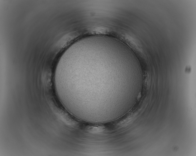 X0000092220548200709281045