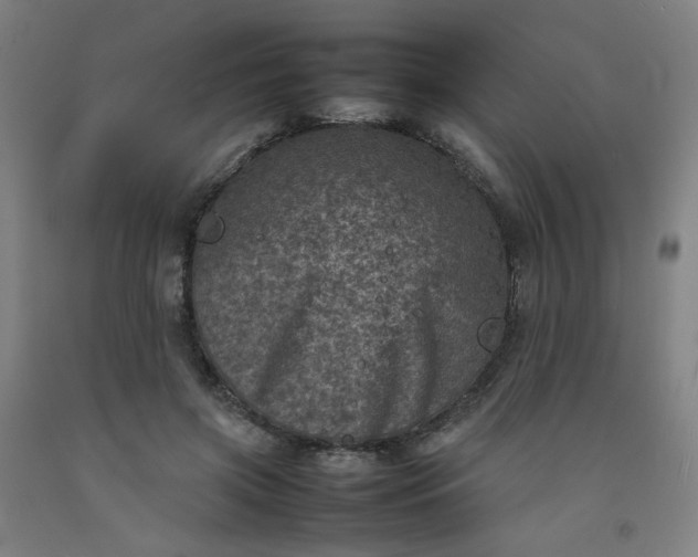 X0000092220549200709281045