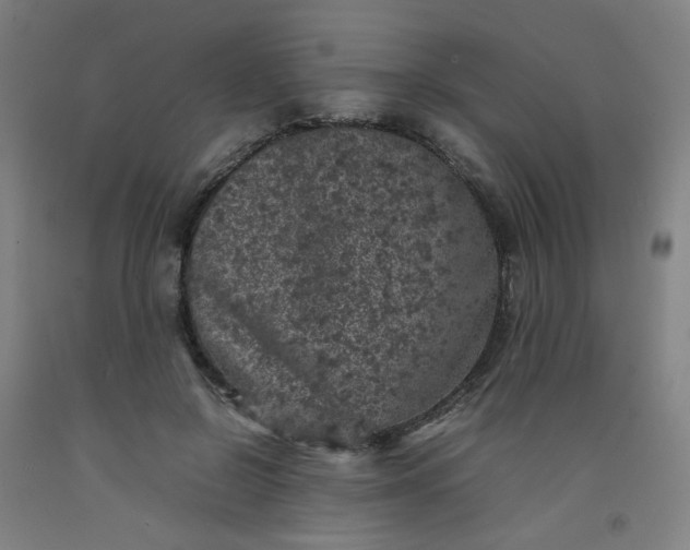 X0000092220550200709281045