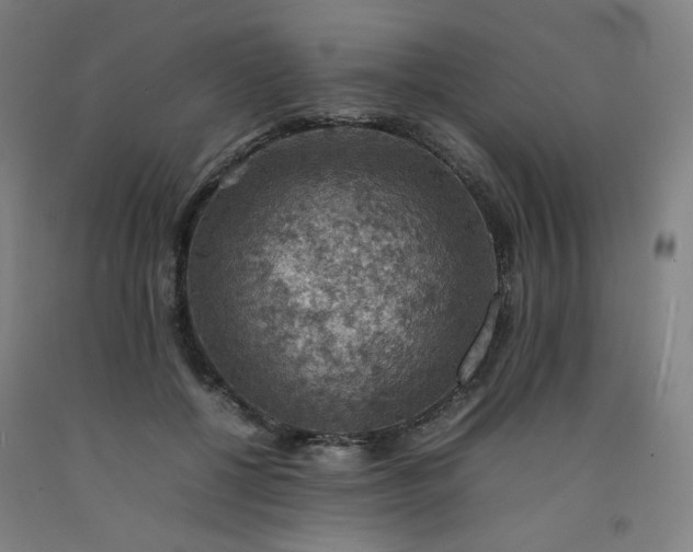 X0000092220552200709281045