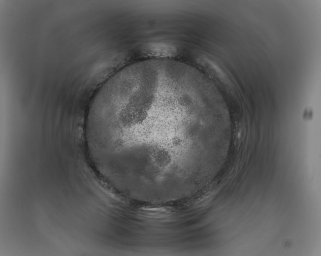 X0000092220553200709281045
