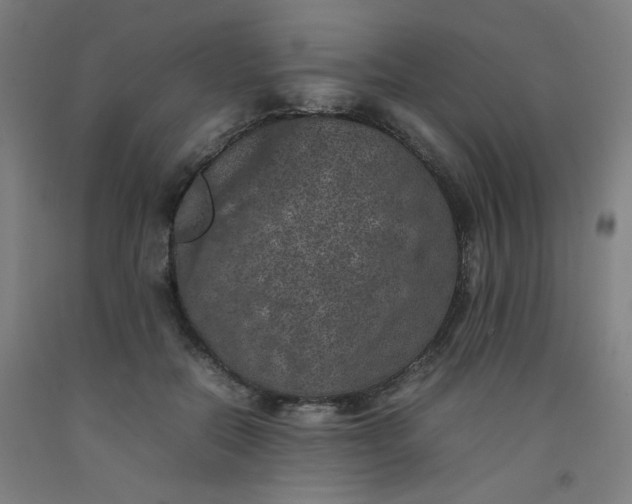 X0000092220554200709281045