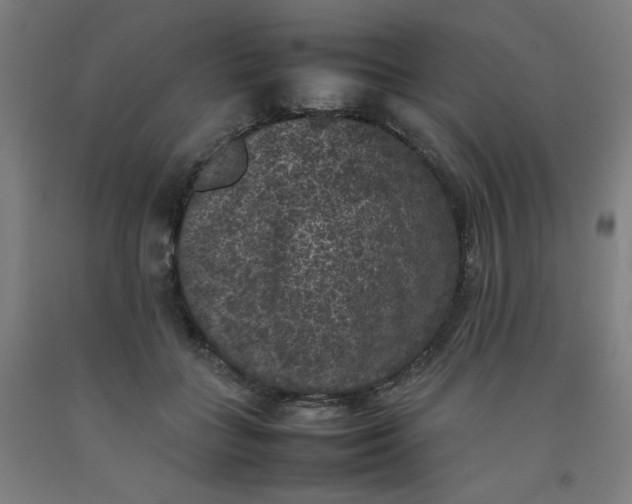 X0000092220555200709281045