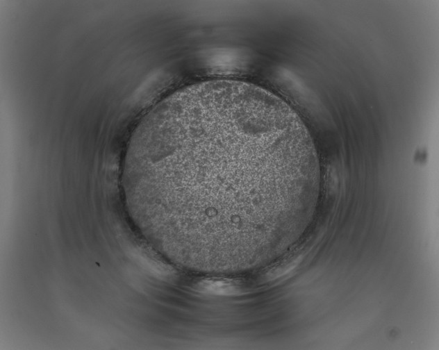 X0000092220557200709281046
