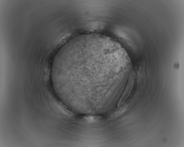 X0000092220558200709281046