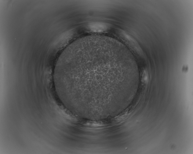 X0000092220559200709281046