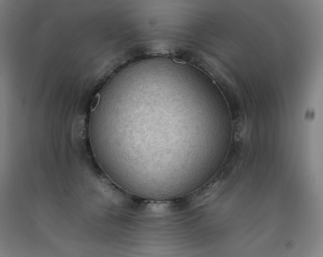 X0000092220560200709281046