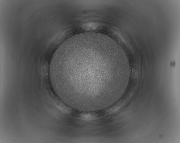 X0000092220561200709281046