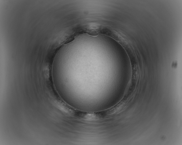 X0000092220562200709281046