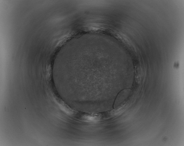 X0000092220563200709281046