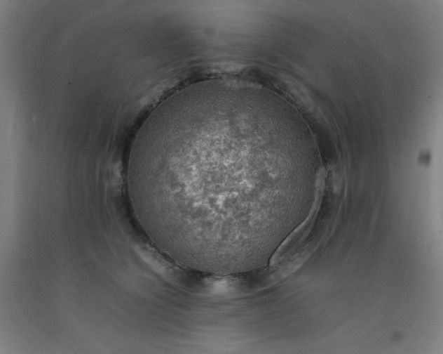 X0000092220564200709281046