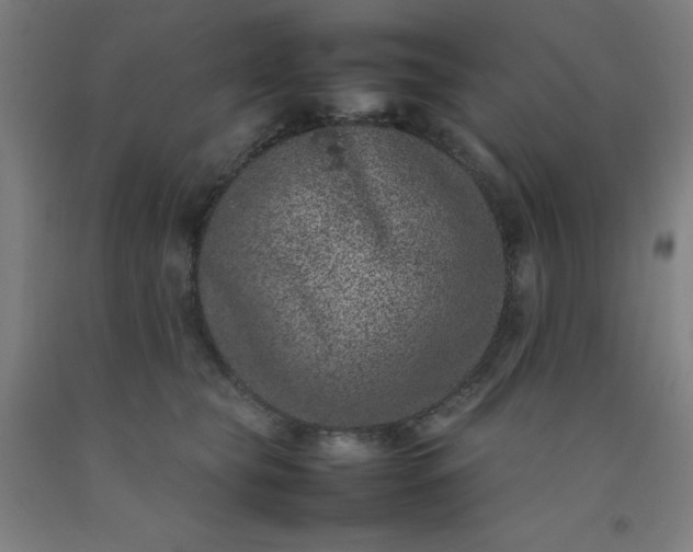 X0000092220565200709281046