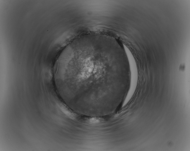 X0000092220566200709281046