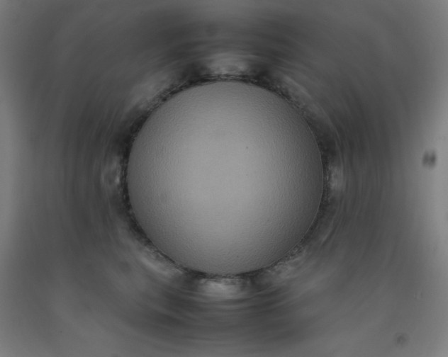 X0000092220567200709281046