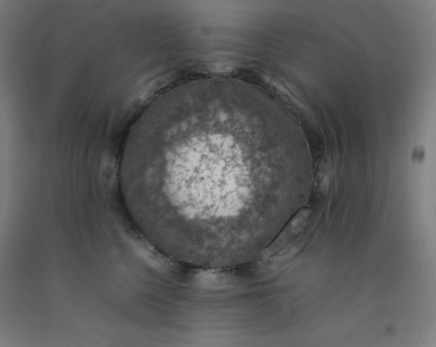 X0000092220568200709281046