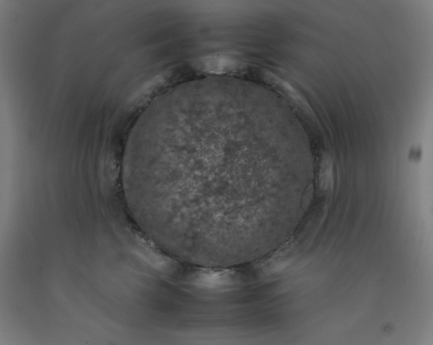 X0000092220569200709281046